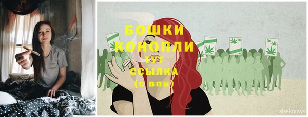 спиды Осинники