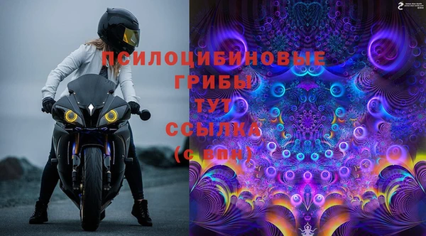 гидропоника Алзамай