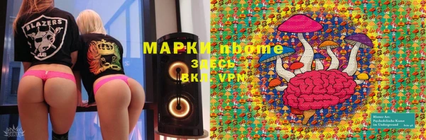 гидропоника Алзамай
