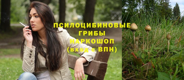 гидропоника Алзамай
