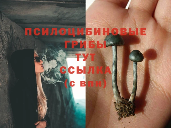 гидропоника Алзамай