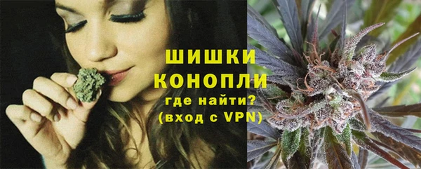 ГАЛЛЮЦИНОГЕННЫЕ ГРИБЫ Осташков