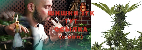 спиды Осинники